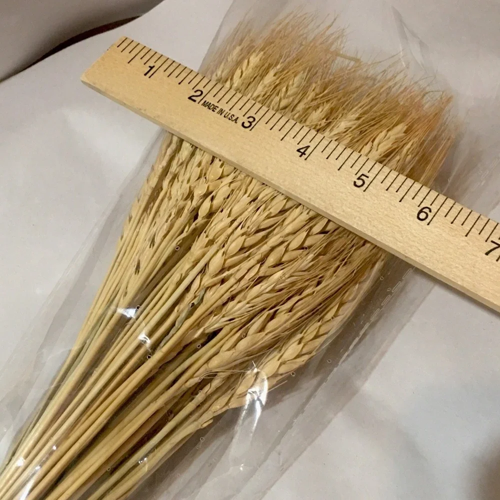100 Stems Dried Wheat Stalks for Decor Sheaves Grass Natural Golden